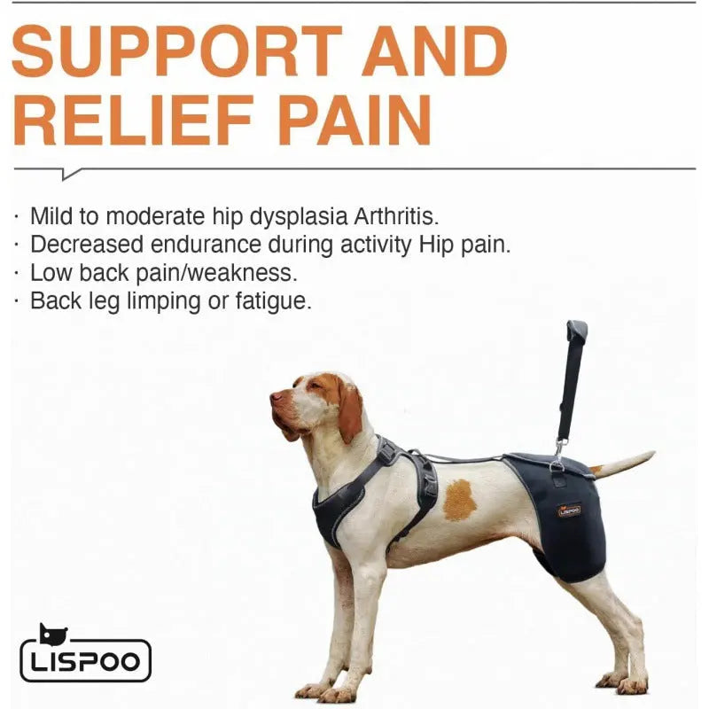 Dog Hip & Knee Support Harness – Breathable Pet Mobility Brace | Adjustable Rear Leg Support for Dogs CJ