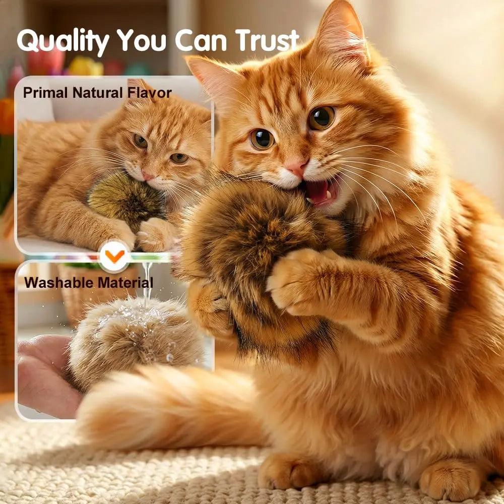 Catnip Rabbit Fur Ball Toy – Soft Interactive Cat Toy for Indoor Cats | Fluffy Chase & Hunting Exercise Ball CJ