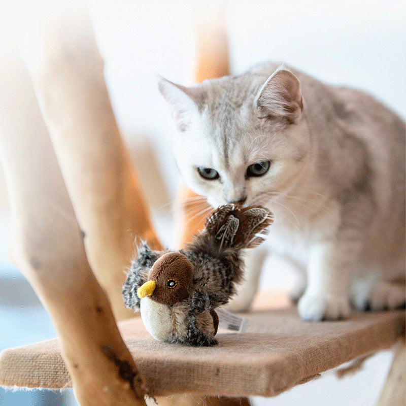 Interactive Chirping Bird Cat Toy – Motion Activated Touch Sensor Hunting Toy | Realistic Sound Pet Play Toy EPR