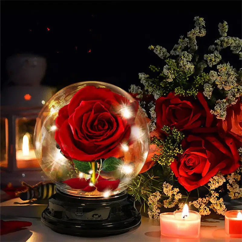 Eternal Dried Rose Lamp Gift Box – Handmade Velvet Rose Lantern | Mother’s Day Romantic Home Decor CJ