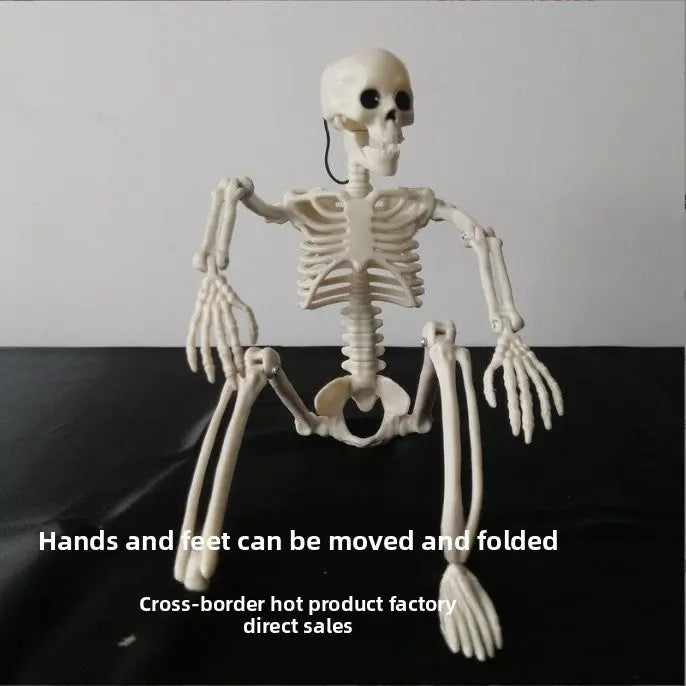 90cm Halloween Skeleton Decoration Poseable Full Body Plastic Skeleton Prop TED