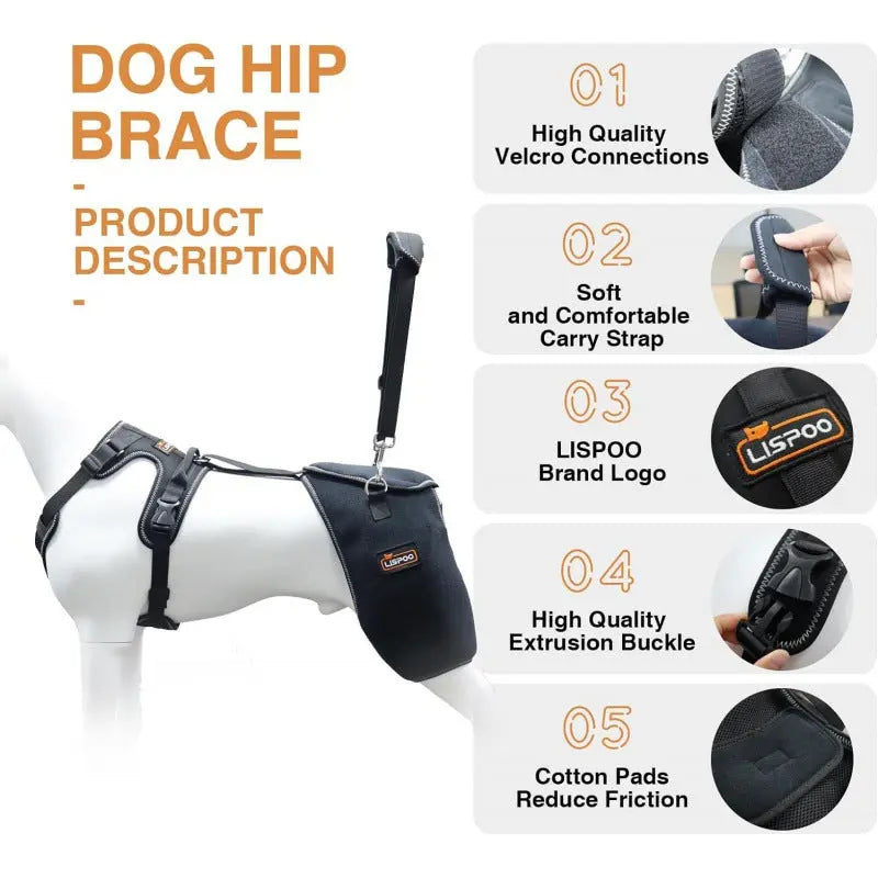 Dog Hip & Knee Support Harness – Breathable Pet Mobility Brace | Adjustable Rear Leg Support for Dogs CJ