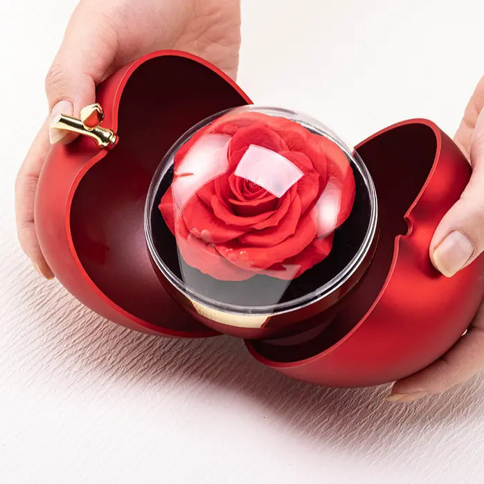 Luxury Double-Open Jewelry Gift Box with Rose - Elegant Ring & Necklace Storage Case | Romantic Gift Packaging TED
