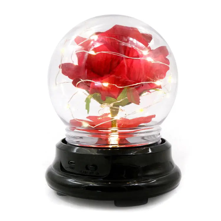 Eternal Dried Rose Lamp Gift Box – Handmade Velvet Rose Lantern | Mother’s Day Romantic Home Decor CJ