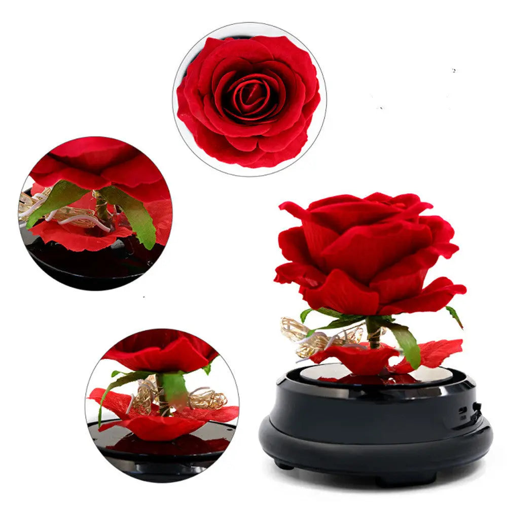 Eternal Dried Rose Lamp Gift Box – Handmade Velvet Rose Lantern | Mother’s Day Romantic Home Decor CJ