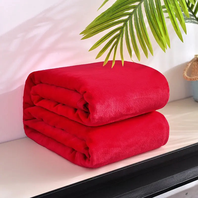 Thickened Soft Coral Fleece Blanket for Home and Gifts TED