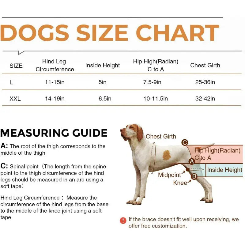 Dog Hip & Knee Support Harness – Breathable Pet Mobility Brace | Adjustable Rear Leg Support for Dogs CJ