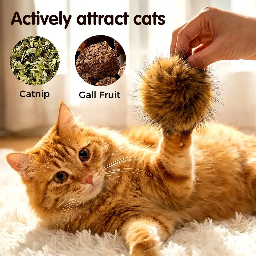Catnip Rabbit Fur Ball Toy – Soft Interactive Cat Toy for Indoor Cats | Fluffy Chase & Hunting Exercise Ball CJ