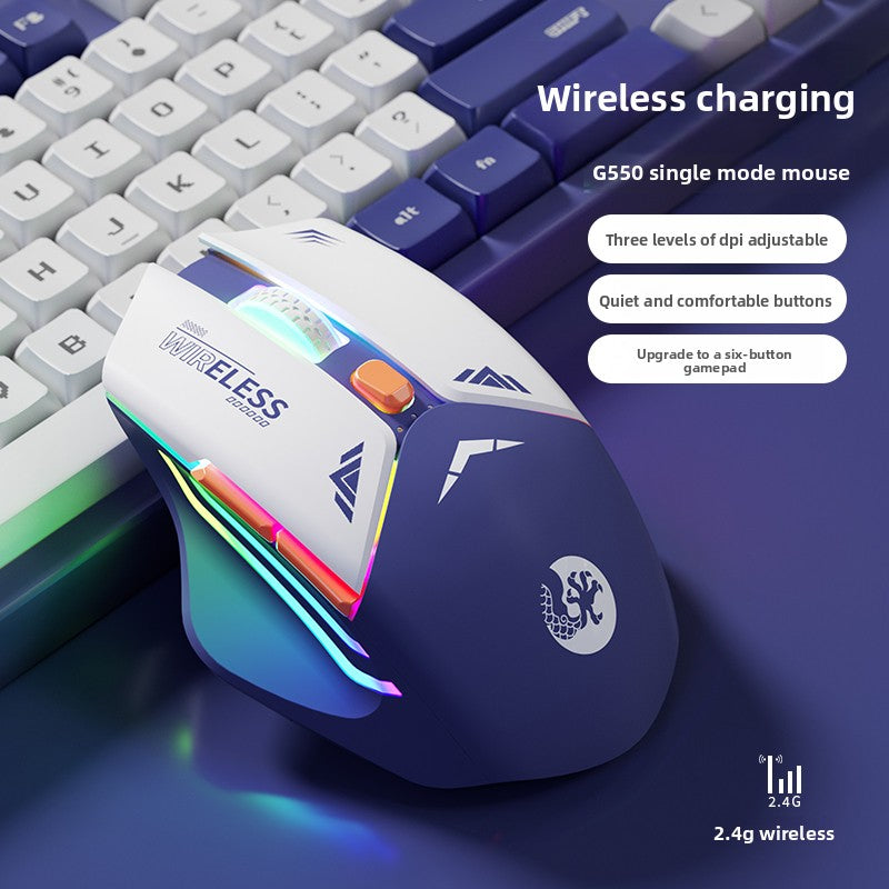 Dual Mode Wireless Gaming Mouse | Bluetooth & 2.4GHz Rechargeable Bluetooth Mouse - EverCharm Gifts