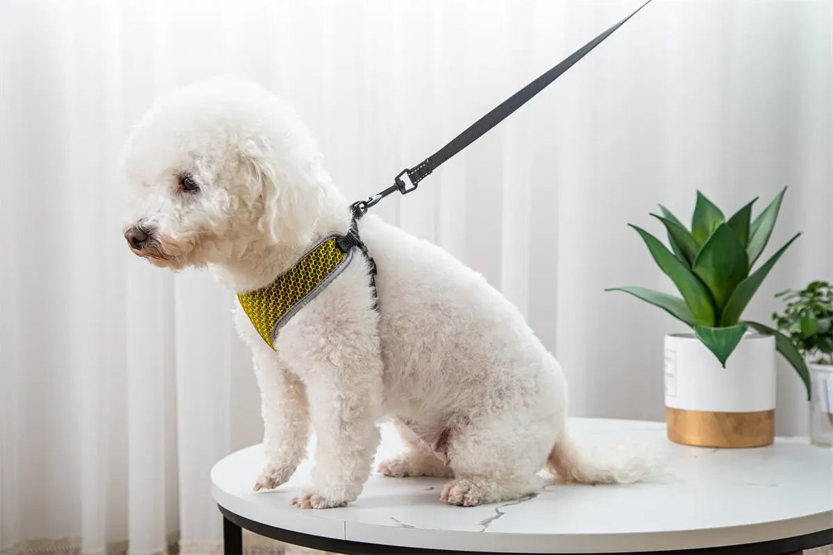 Pet Dog Vest Harness & Leash Set – Adjustable Soft Walking Harness for Small Dogs & Cats | Comfortable No-Pull Pet Vest CJ